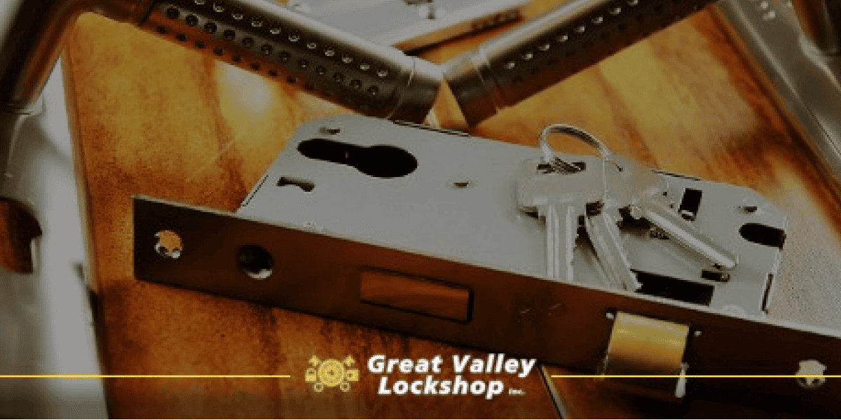 Door lock components