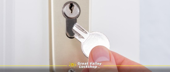 Locks: Types, Design, Metals Used, and Choosing Locks